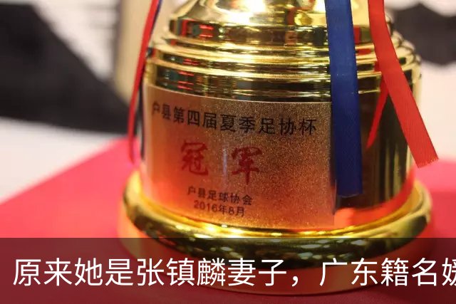 原来她是张镇麟妻子，广东籍名媛家世显赫，怪不得丈夫是CBA顶流